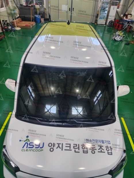 양지크린 이미지