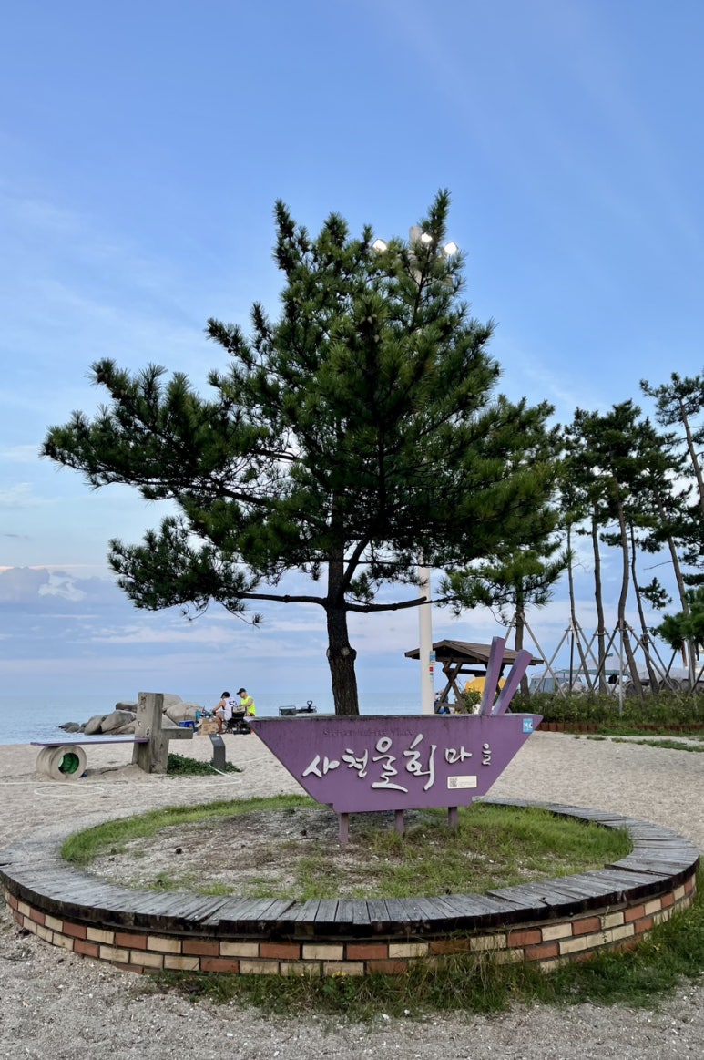 진보양푼이물회 이미지