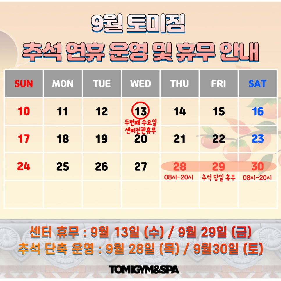 토미클린 이미지