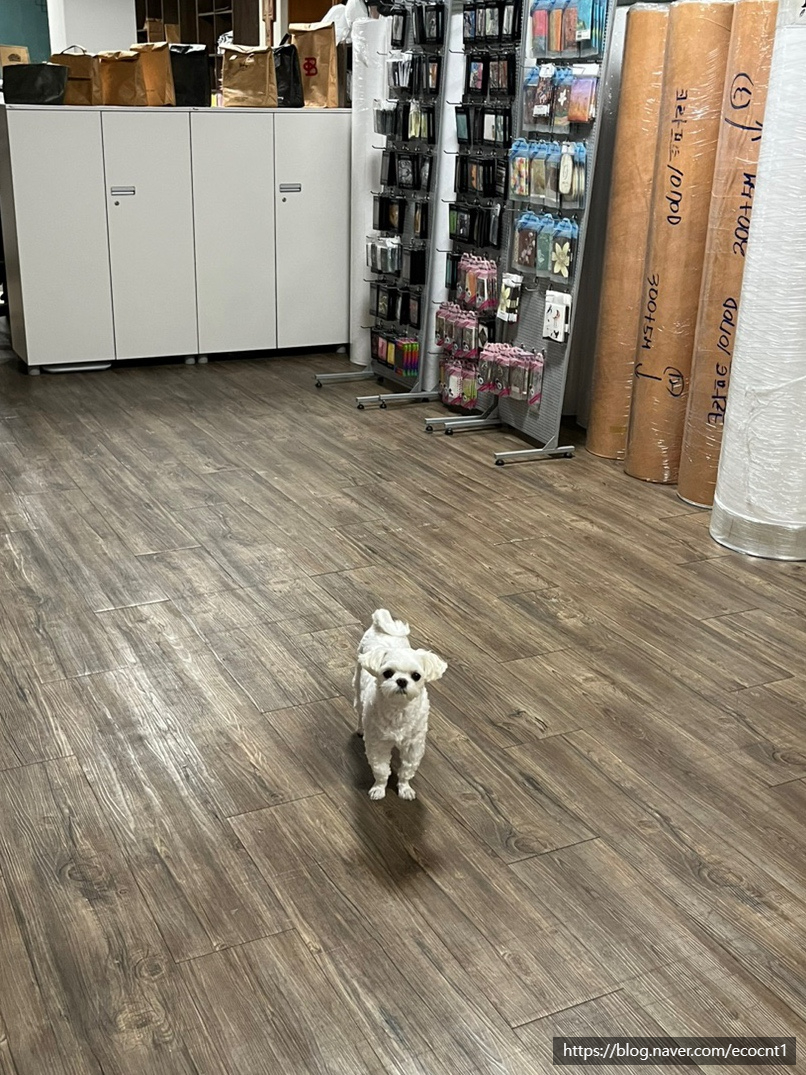 에코씨엔티 이미지