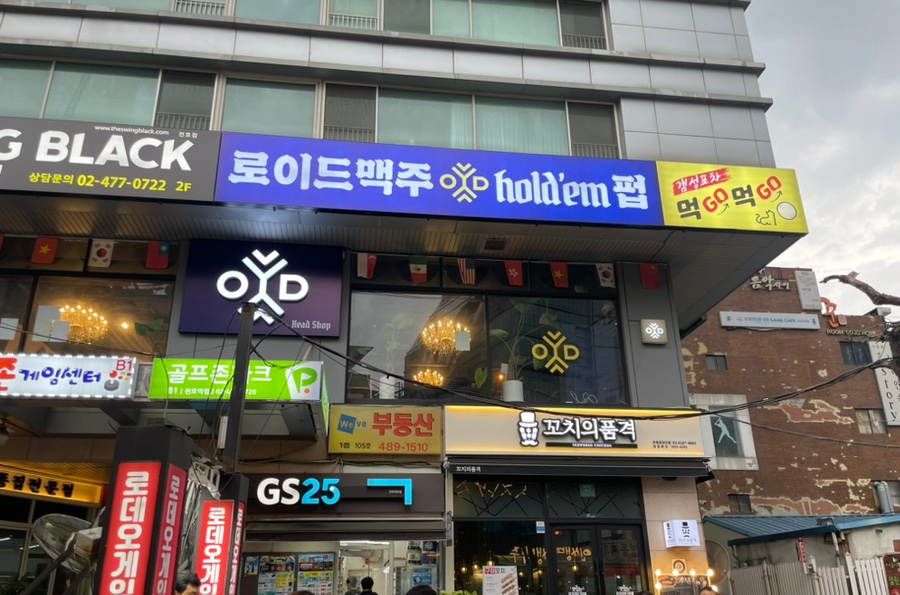 로이드맥주 이미지