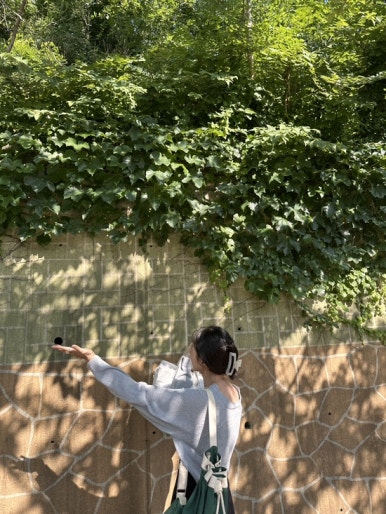 신토불이한과 이미지