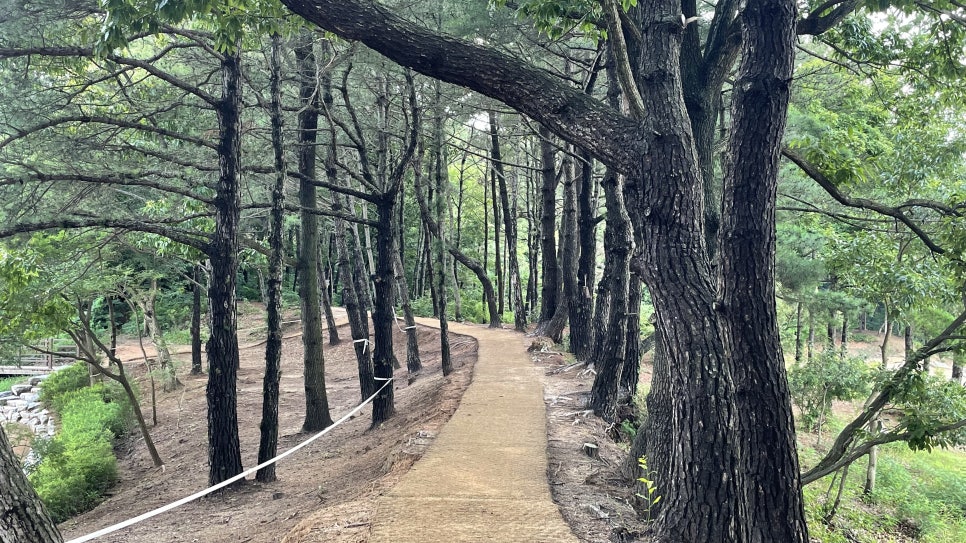 세종행정사 이미지