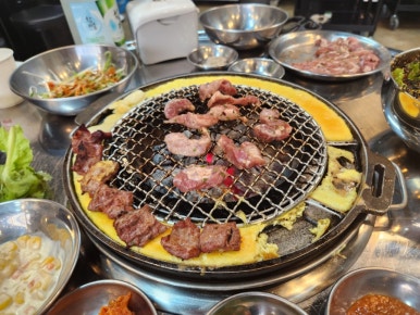 돗배갈매기 이미지