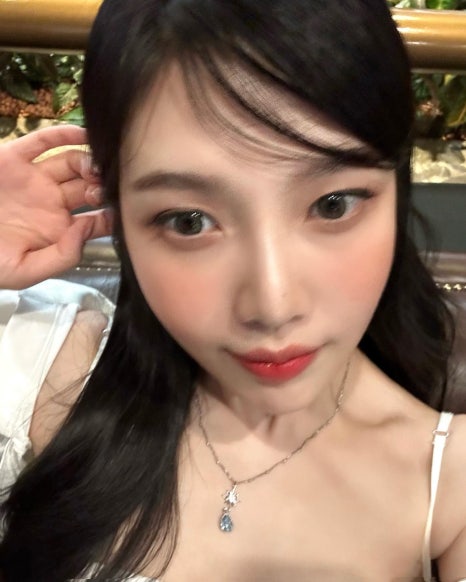 조이식물 이미지