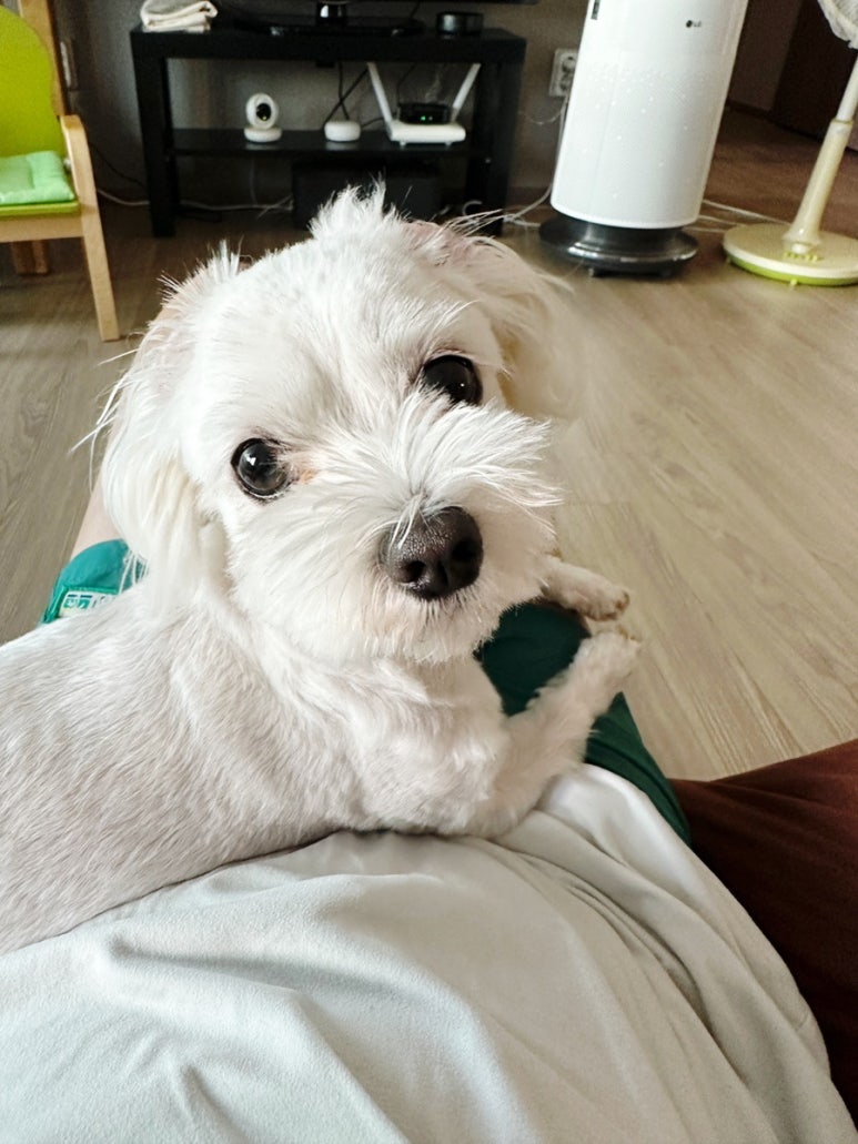 살롱드네이처 이미지