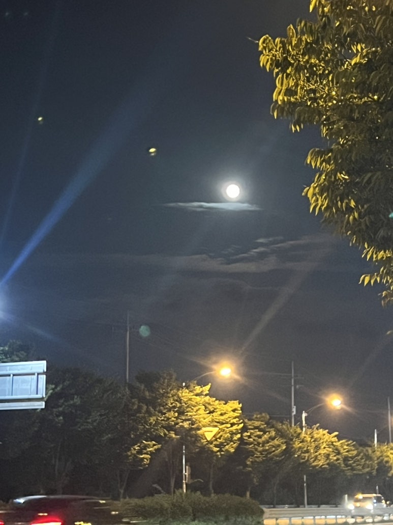 참인력개발 이미지
