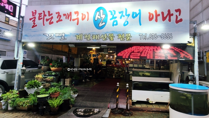 갯뻘수산 이미지