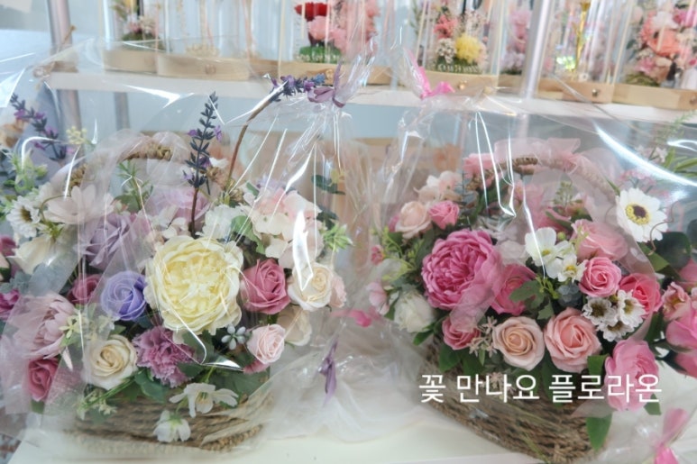 플로라온 이미지