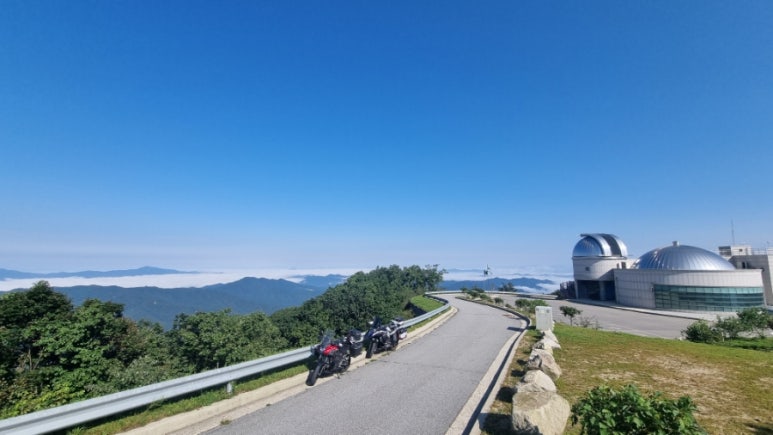 젤라떼리아빤나 이미지