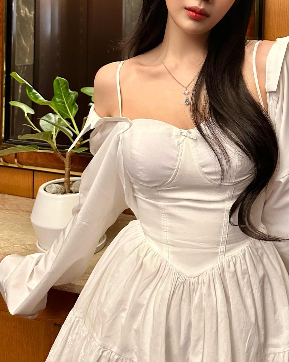 조이식물 이미지