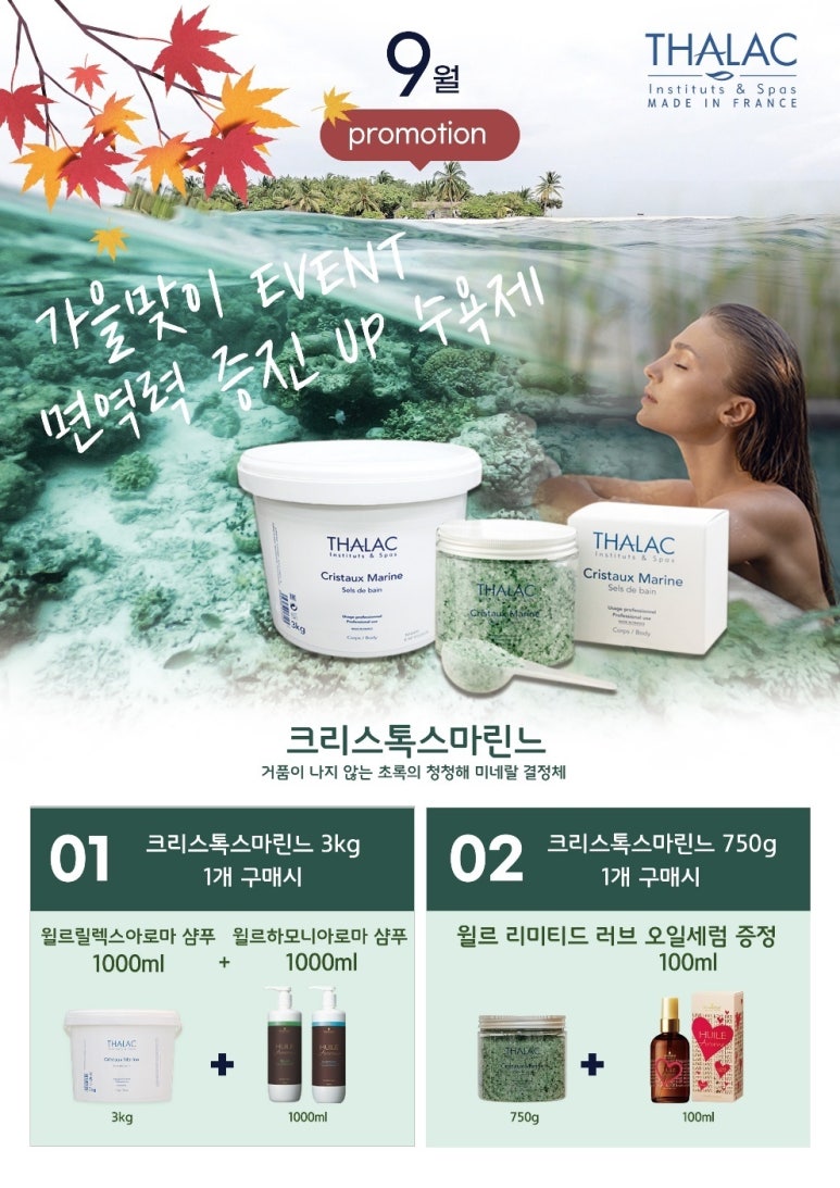 싹다이스2 이미지