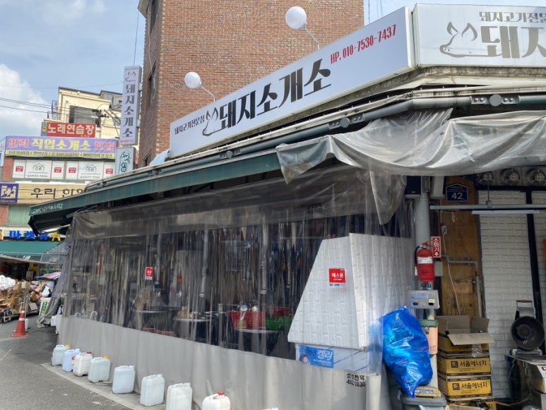 돼지소개소 이미지