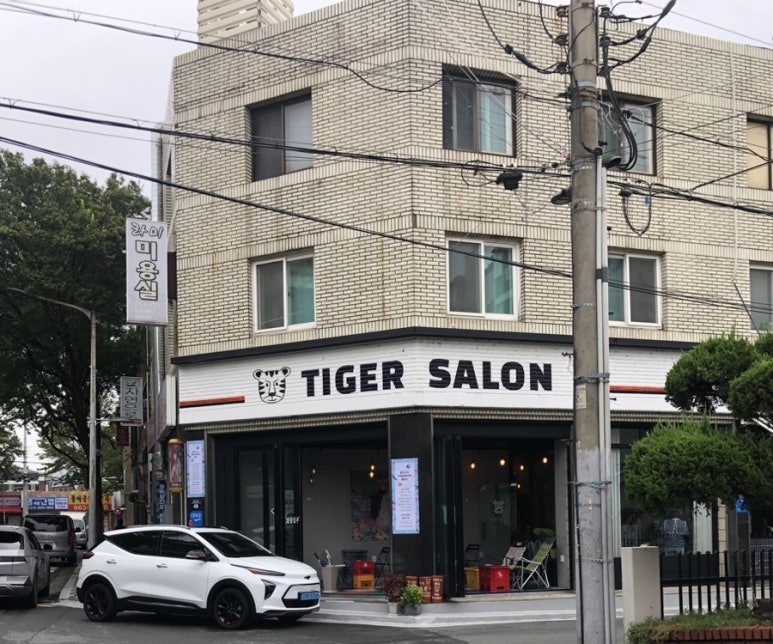 타이거살롱 이미지