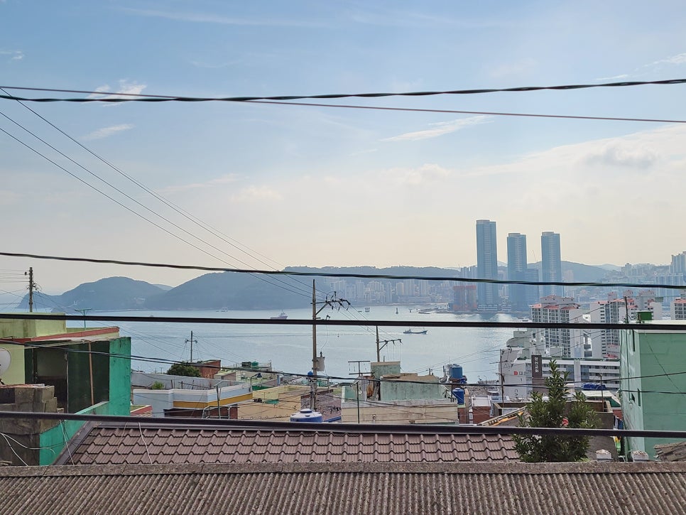 썬플라워하우스 이미지