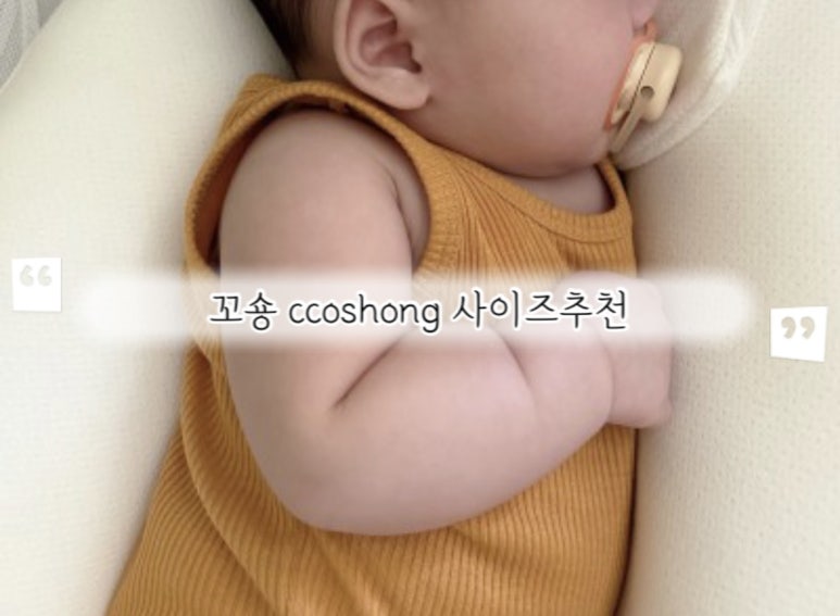 꼬숑.ccoshong 이미지