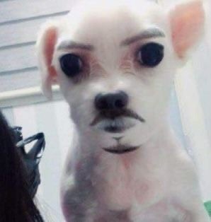 현희바지락칼국수 이미지