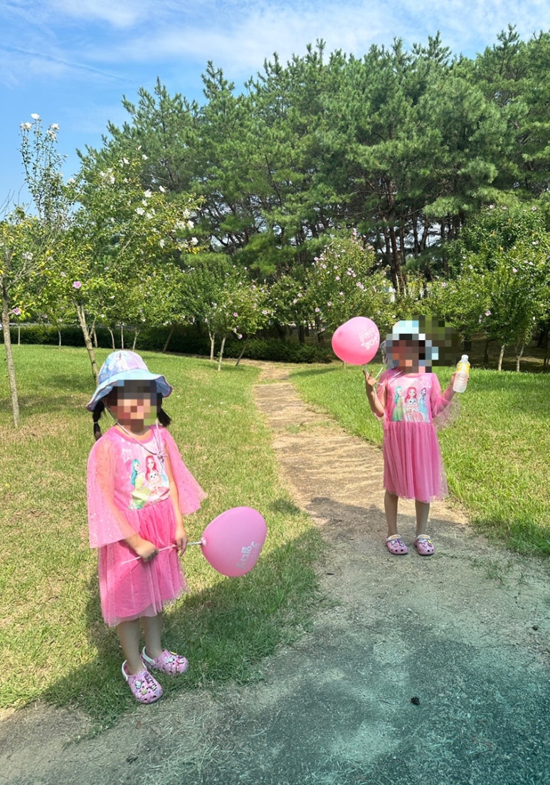 국수나무독립기념관점 이미지
