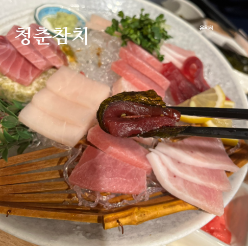 청춘참치 이미지