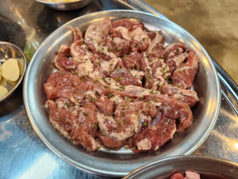 돗배갈매기 이미지