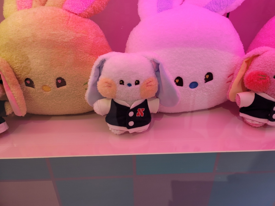 버버니 이미지
