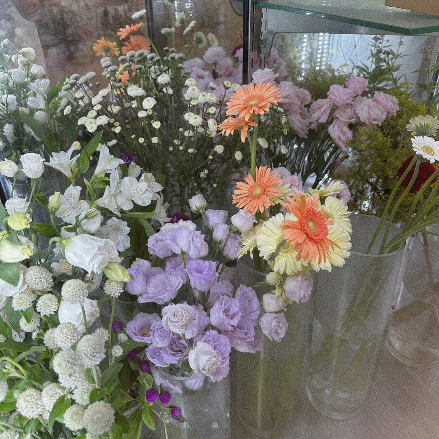 아우첼라플라워 이미지