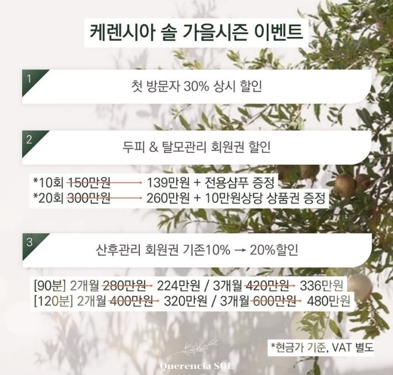 케렌시아 솔 이미지