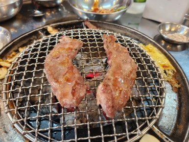 돗배갈매기 이미지