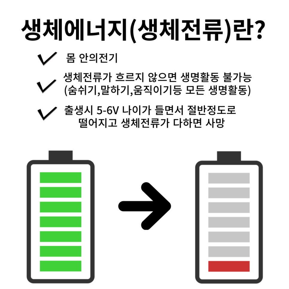 더조각테라피 이미지