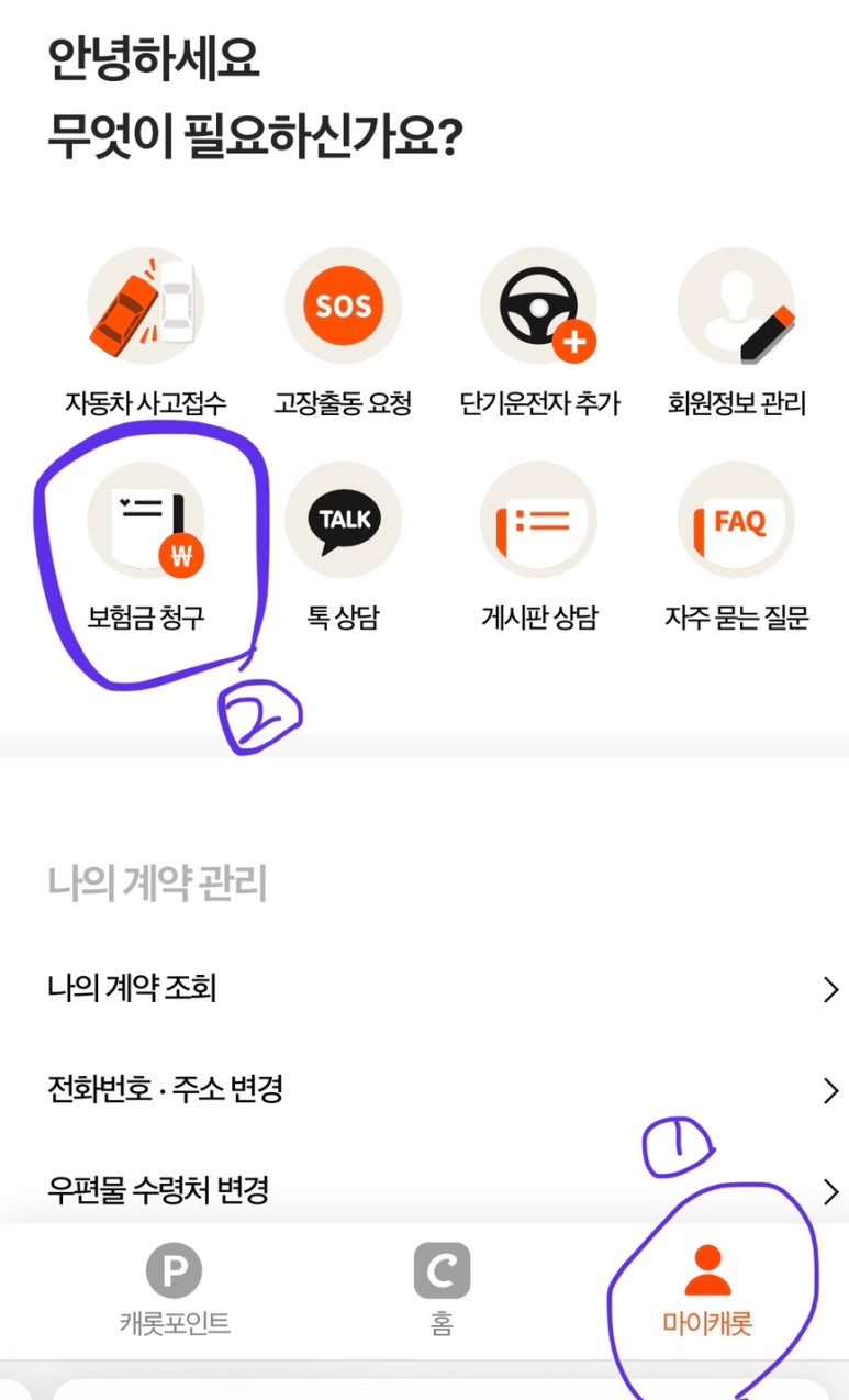 캐롯투어 이미지