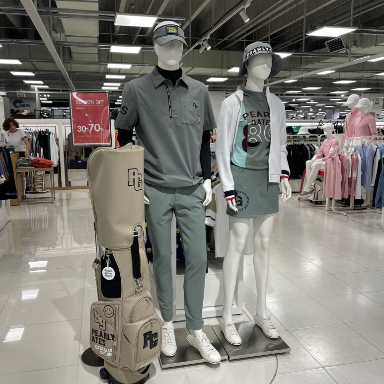 파리게이츠고양 이미지
