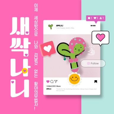 모모미디어 이미지
