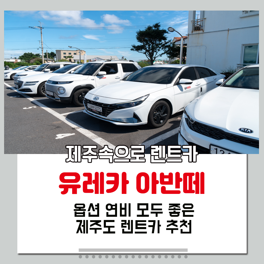 나라렌트카주 이미지