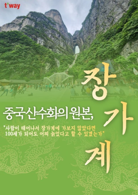 (주)대구여행사 이미지