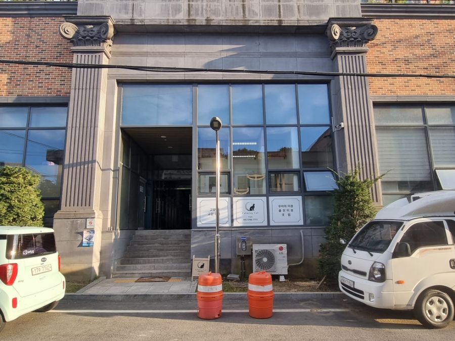 카밍캣 고양이미용 이미지
