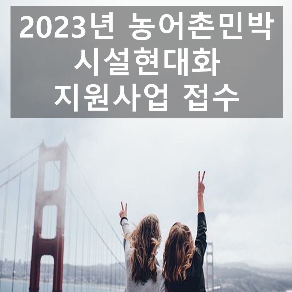 설렘민박 이미지