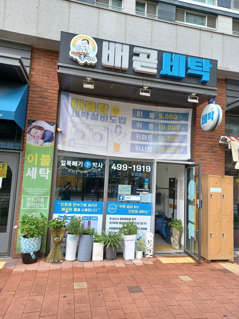 얼룩빼기이박사 이미지