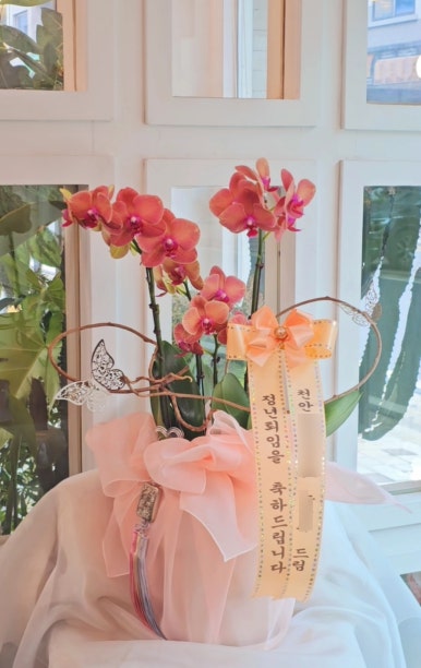 티젤플라워 이미지