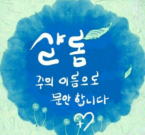 (주)샬롬 이미지