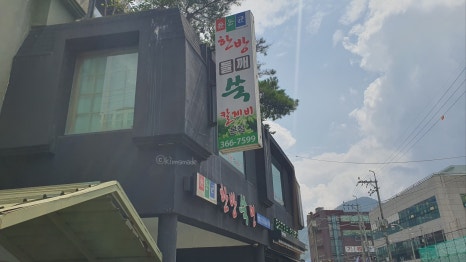 윤동균한방쑥면 이미지