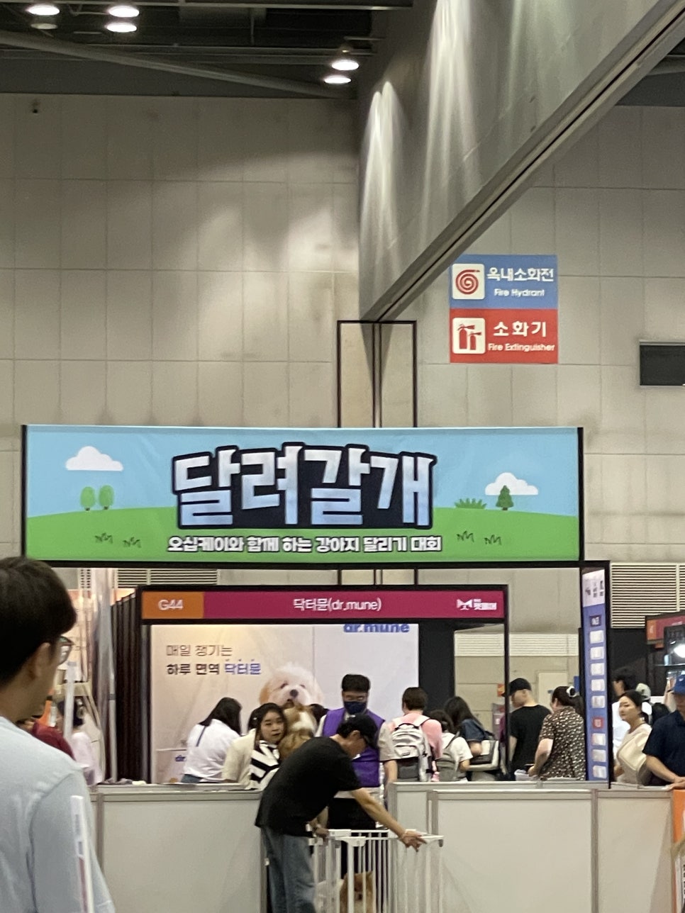 코코플레이존 이미지