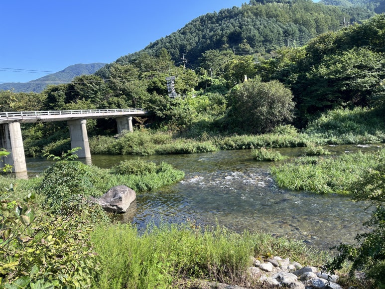 산골산내음 이미지