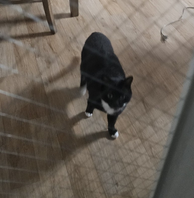 구마PC방 이미지