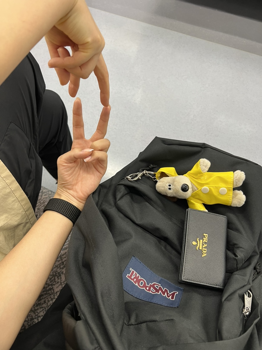 슬로우터틀 이미지