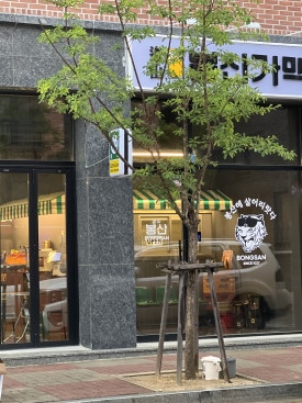 봉산가맥 이미지
