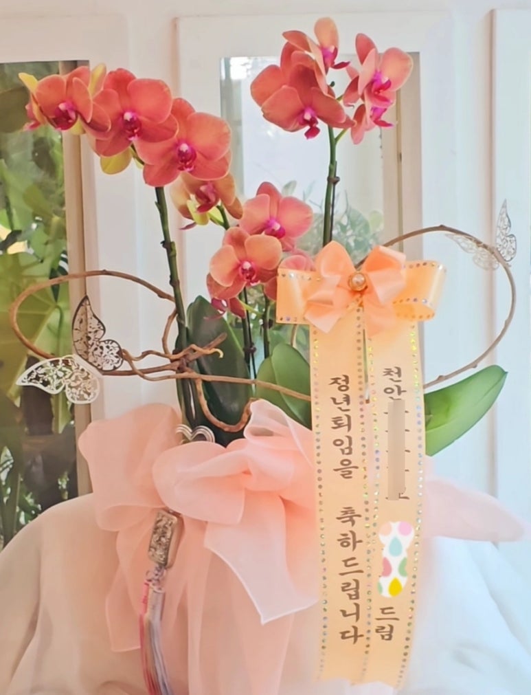 티젤플라워 이미지