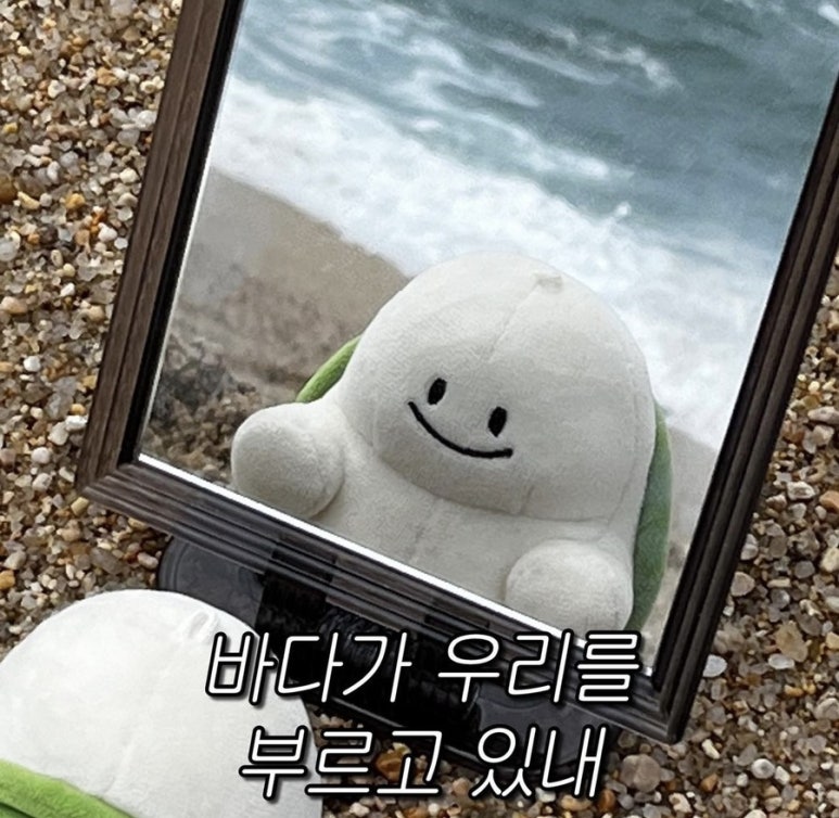 (주)바다 이미지