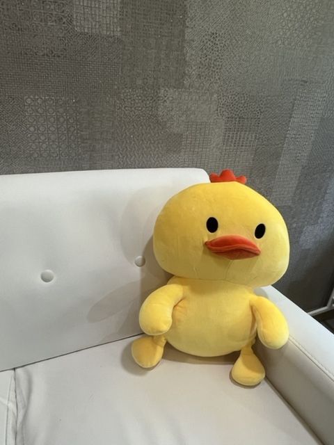 네일제희 이미지