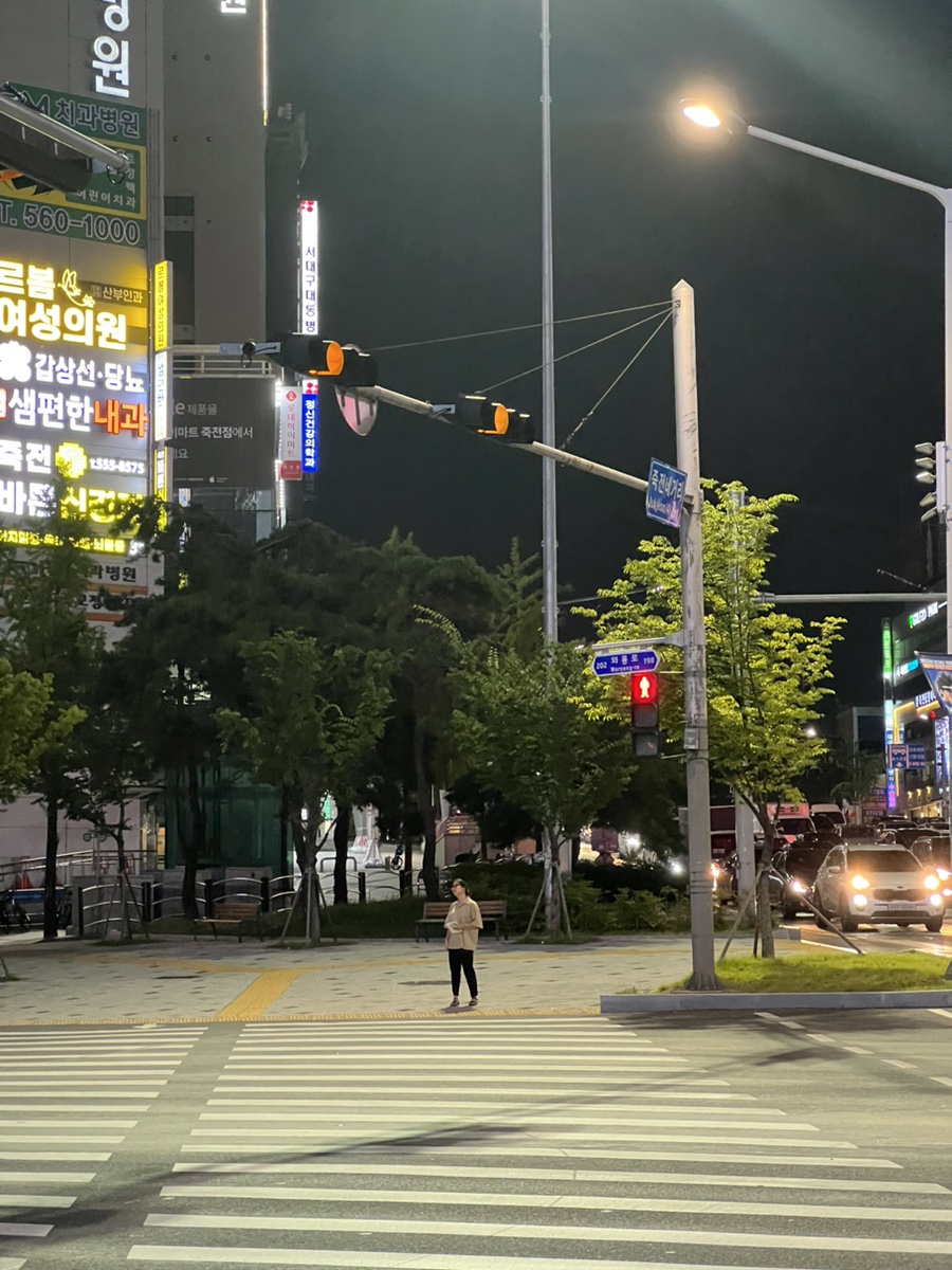 슬로우터틀 이미지