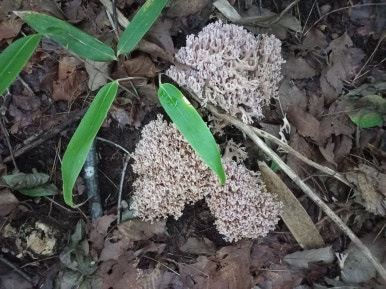 주식회사삼주 이미지